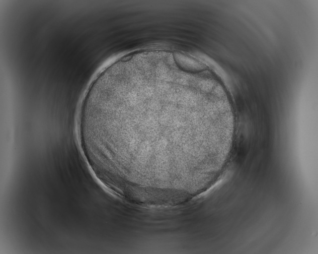 X0000086741429200705111626