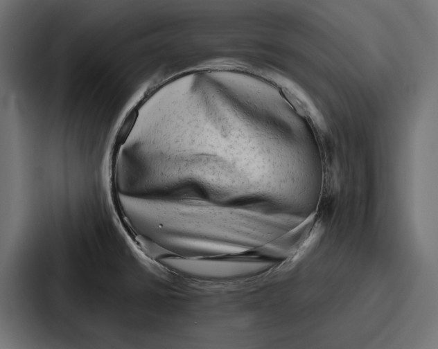 X0000086741430200705111626