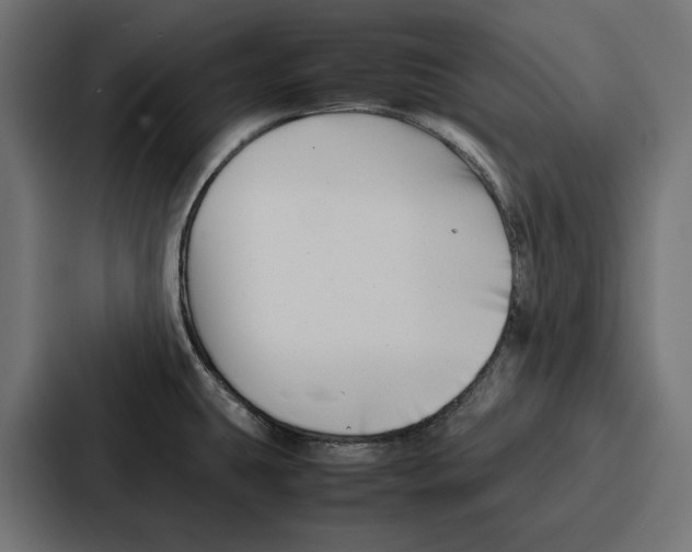 X0000086741431200705111626