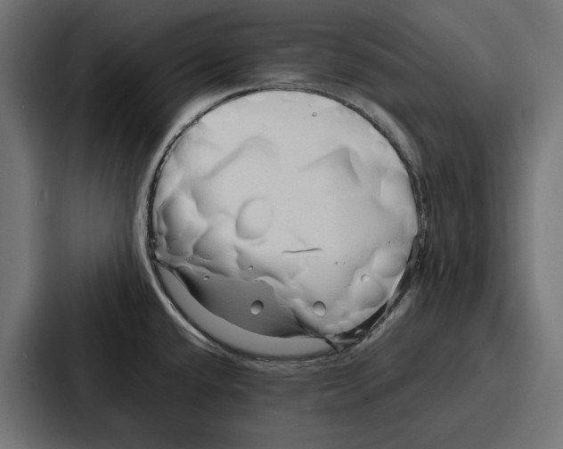 X0000086741432200705111626