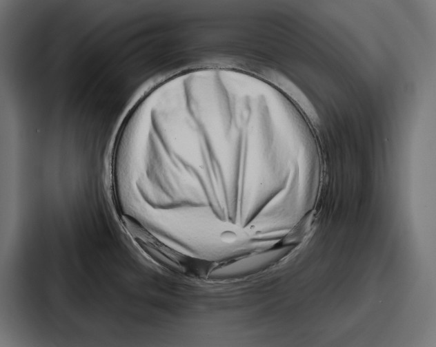 X0000086741436200705111626