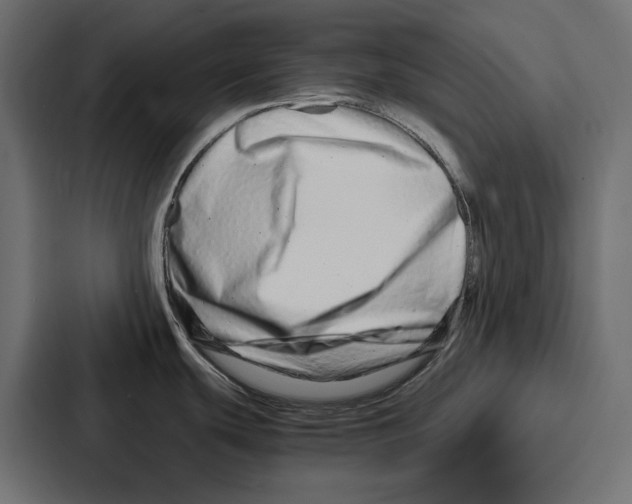 X0000086741439200705111626