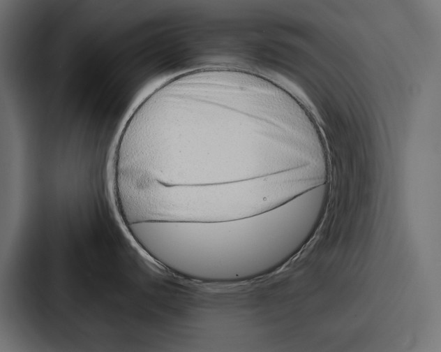 X0000086741440200705111626