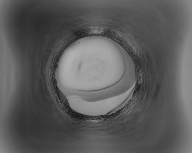 X0000086741441200705111625