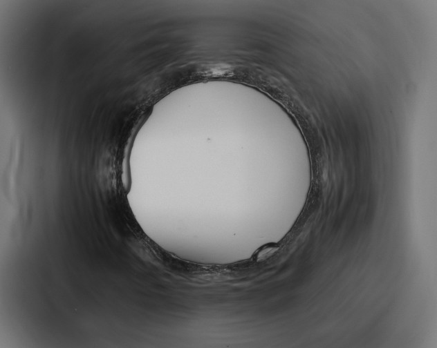 X0000086741442200705111625