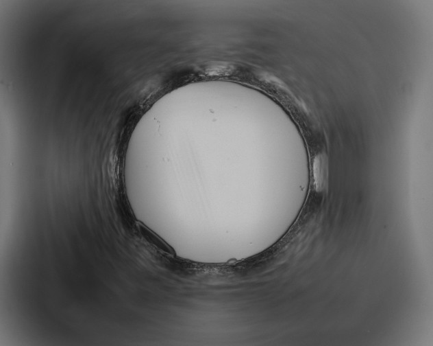 X0000086741443200705111625