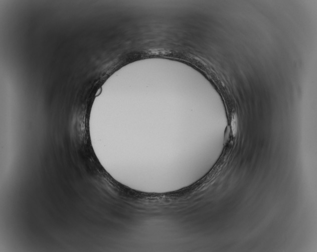 X0000086741444200705111625