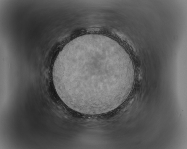 X0000086741445200705111625