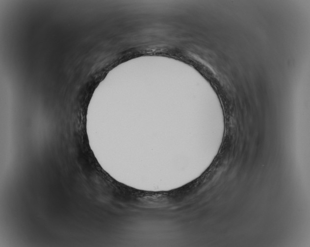 X0000086741447200705111625