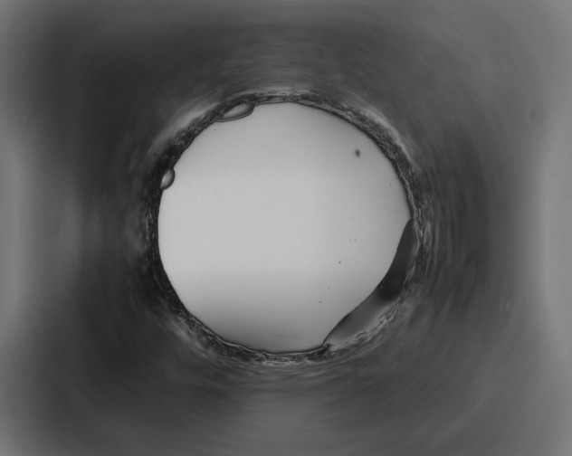 X0000086741448200705111625