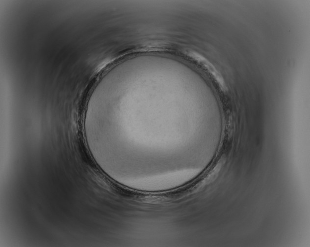 X0000086741449200705111625