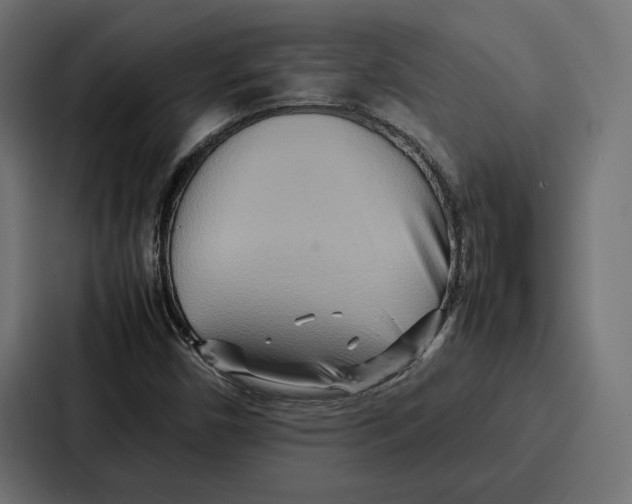 X0000086741450200705111625