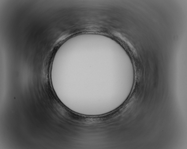 X0000086741451200705111625