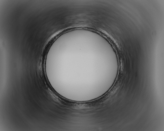 X0000086741452200705111625