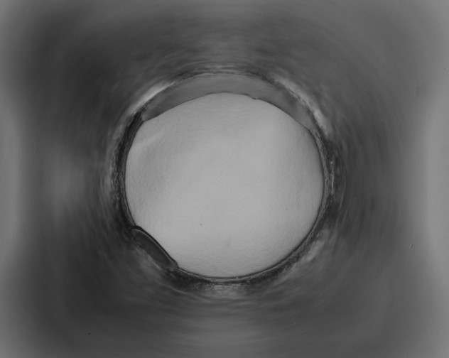 X0000086741453200705111625