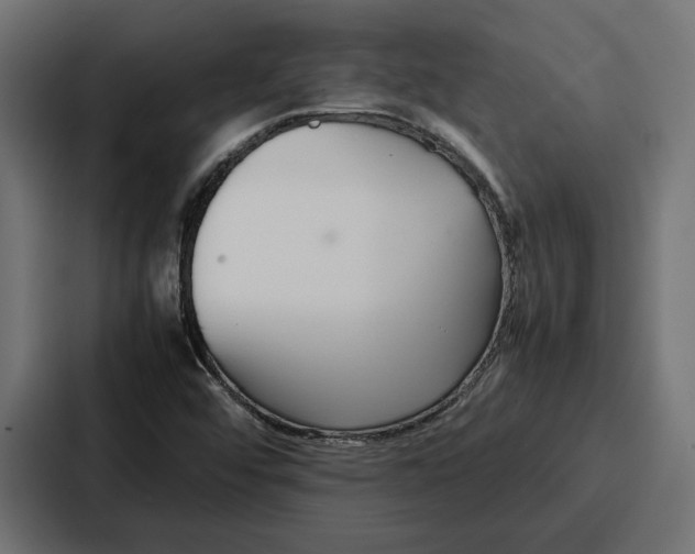 X0000086741456200705111625