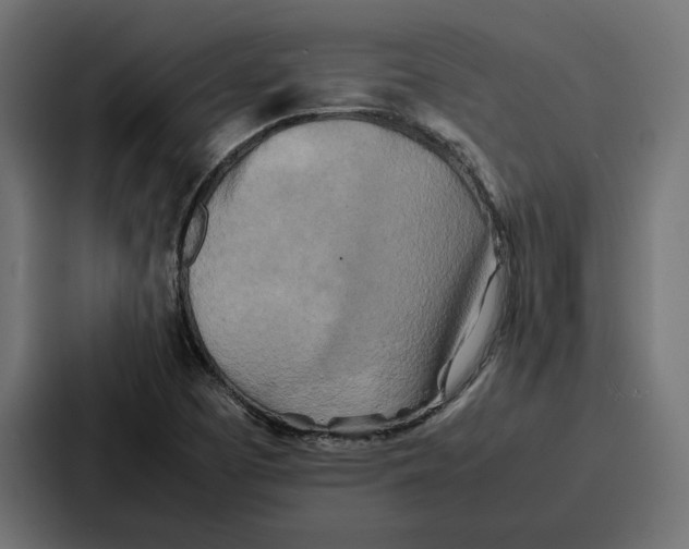 X0000086741457200705111625