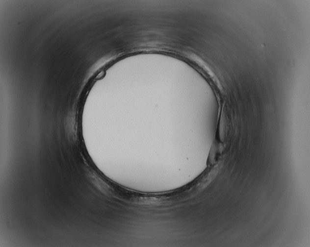 X0000086741458200705111625