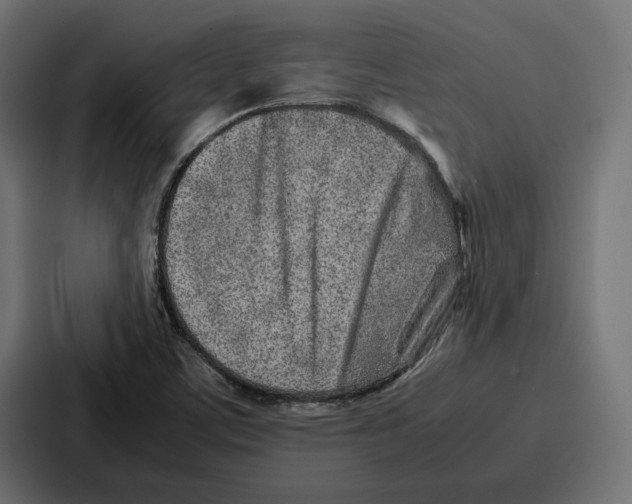 X0000086741459200705111625