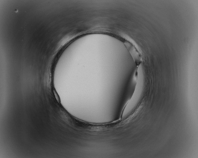 X0000086741461200705111625