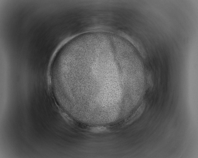 X0000086741462200705111625