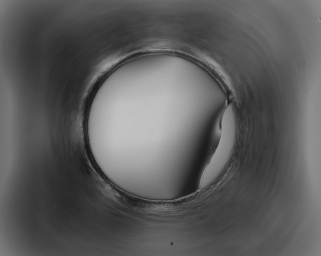 X0000086741464200705111625