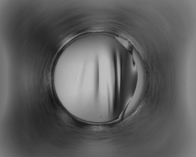 X0000086741465200705111625