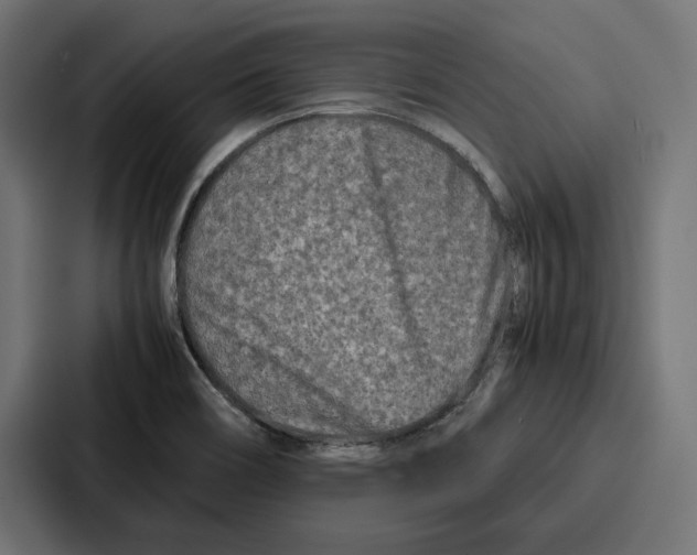 X0000086741466200705111625