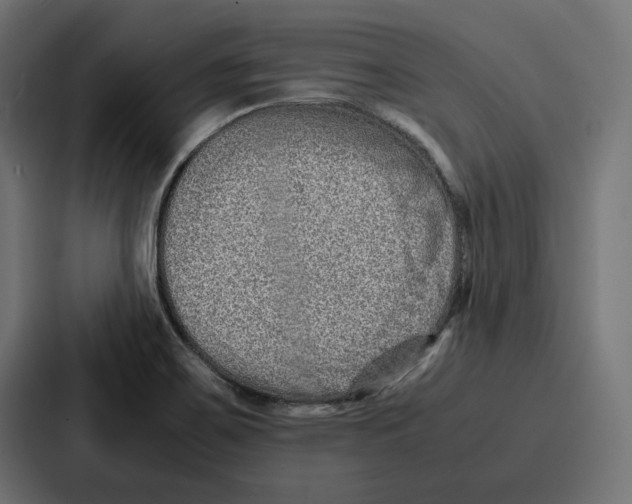 X0000086741467200705111625