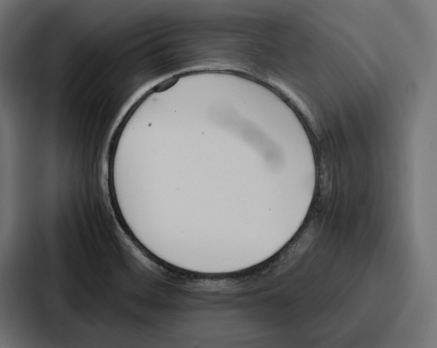 X0000086741468200705111625