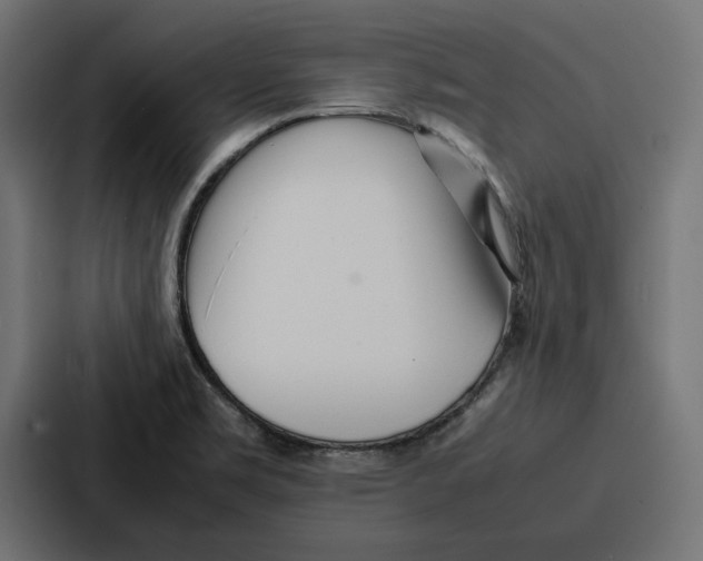 X0000086741469200705111625