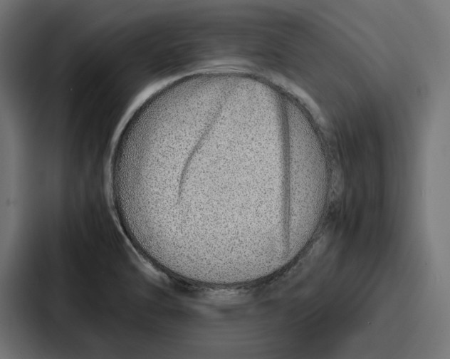 X0000086741470200705111625