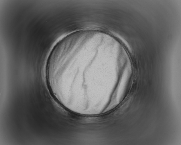 X0000086741471200705111625