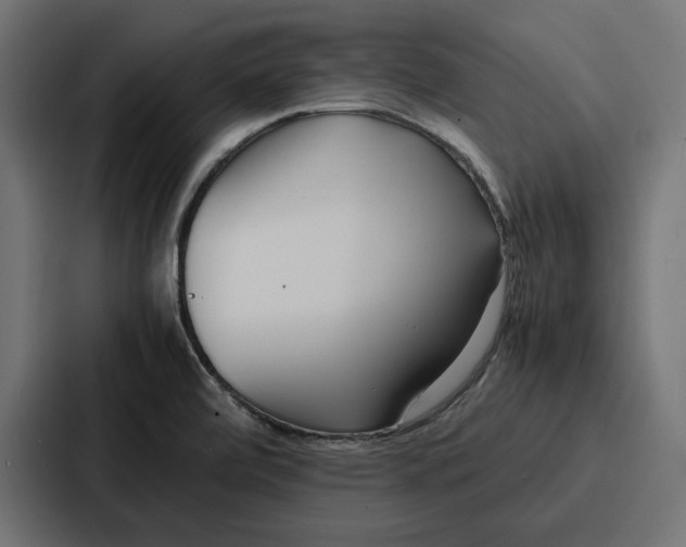 X0000086741472200705111625