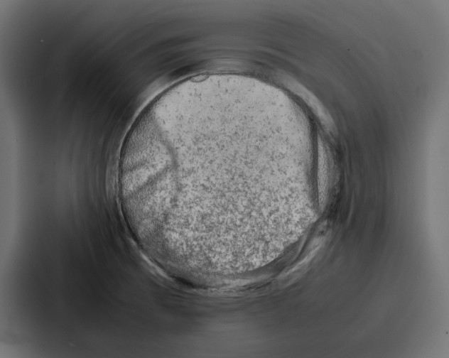 X0000086741473200705111625