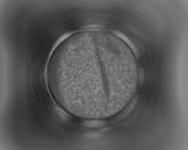 X0000086741474200705111625