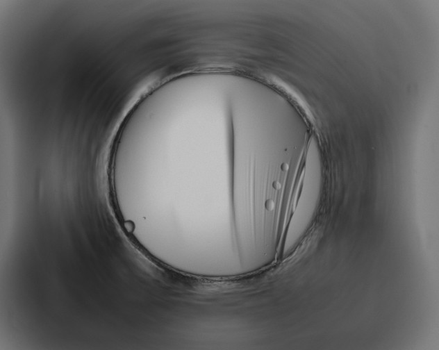 X0000086741475200705111625