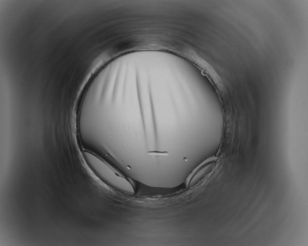 X0000086741476200705111625