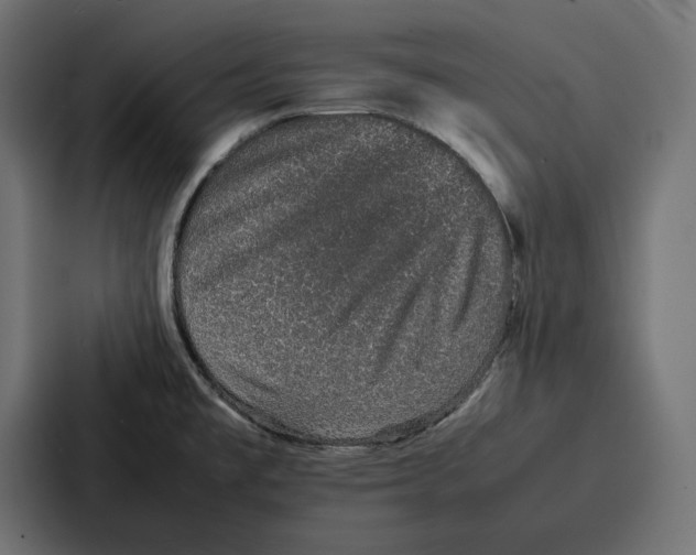 X0000086741477200705111625