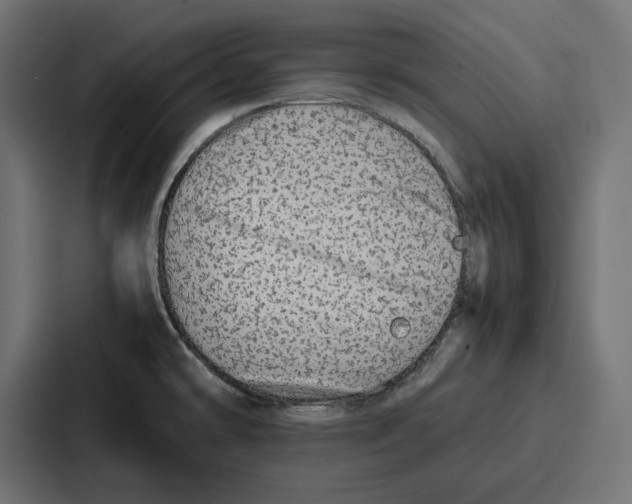 X0000086741478200705111625