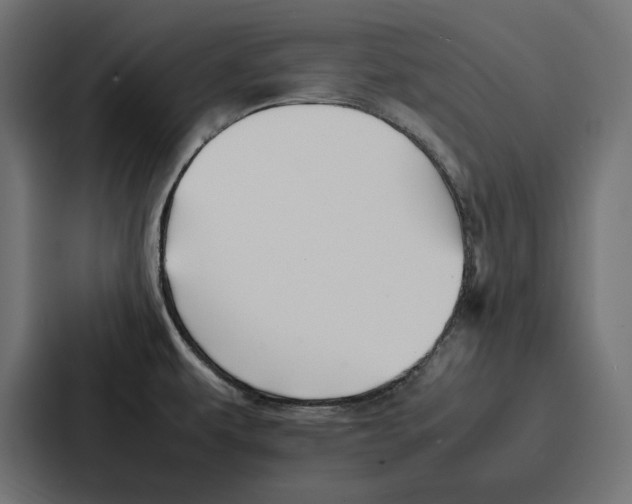 X0000086741479200705111625