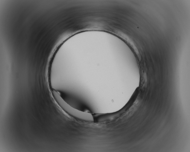 X0000086741480200705111625