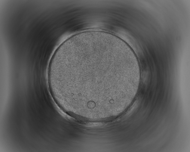 X0000086741482200705111625