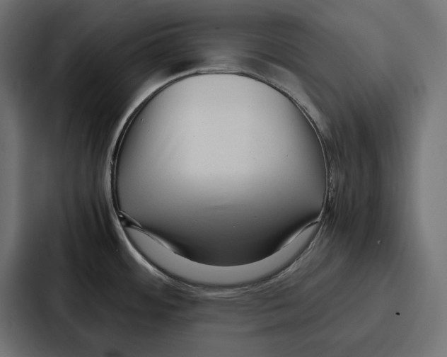 X0000086741484200705111625