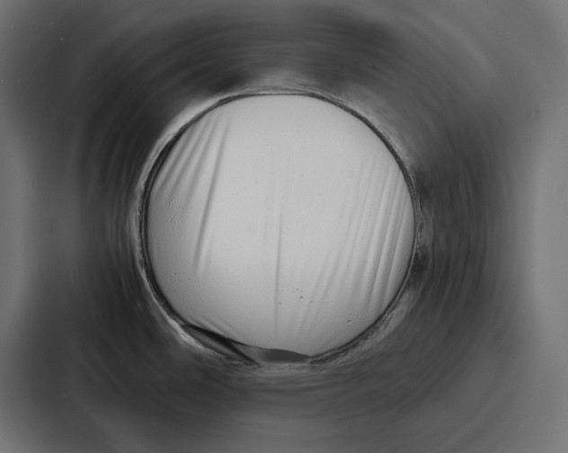 X0000086741486200705111625