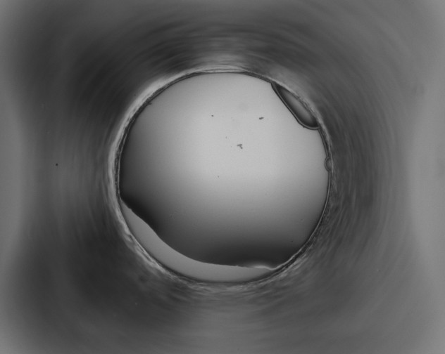 X0000086741488200705111625