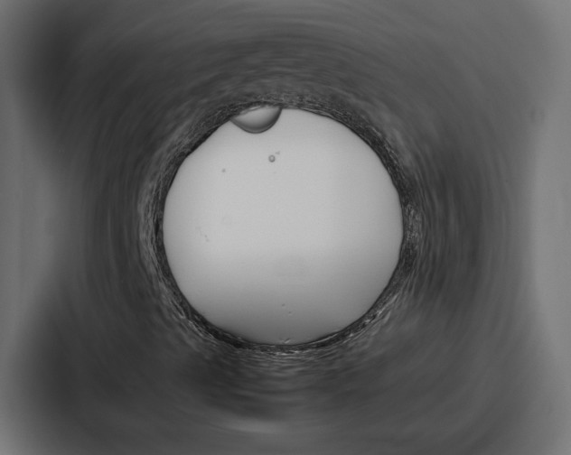 X0000086741489200705111624