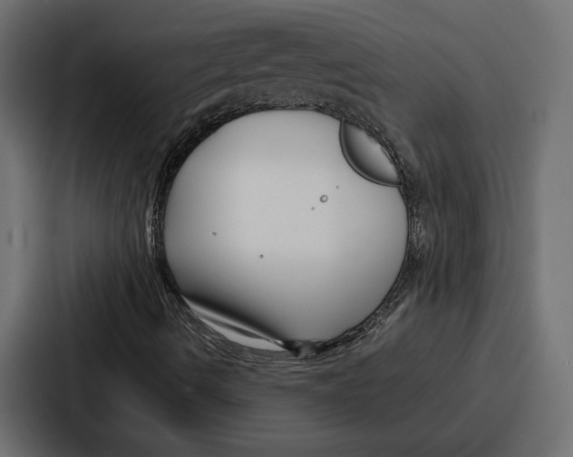 X0000086741490200705111624