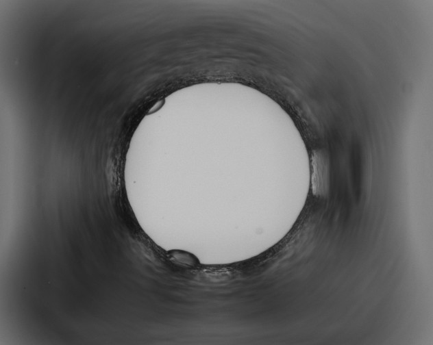 X0000086741491200705111624