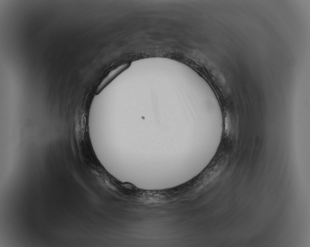 X0000086741492200705111624